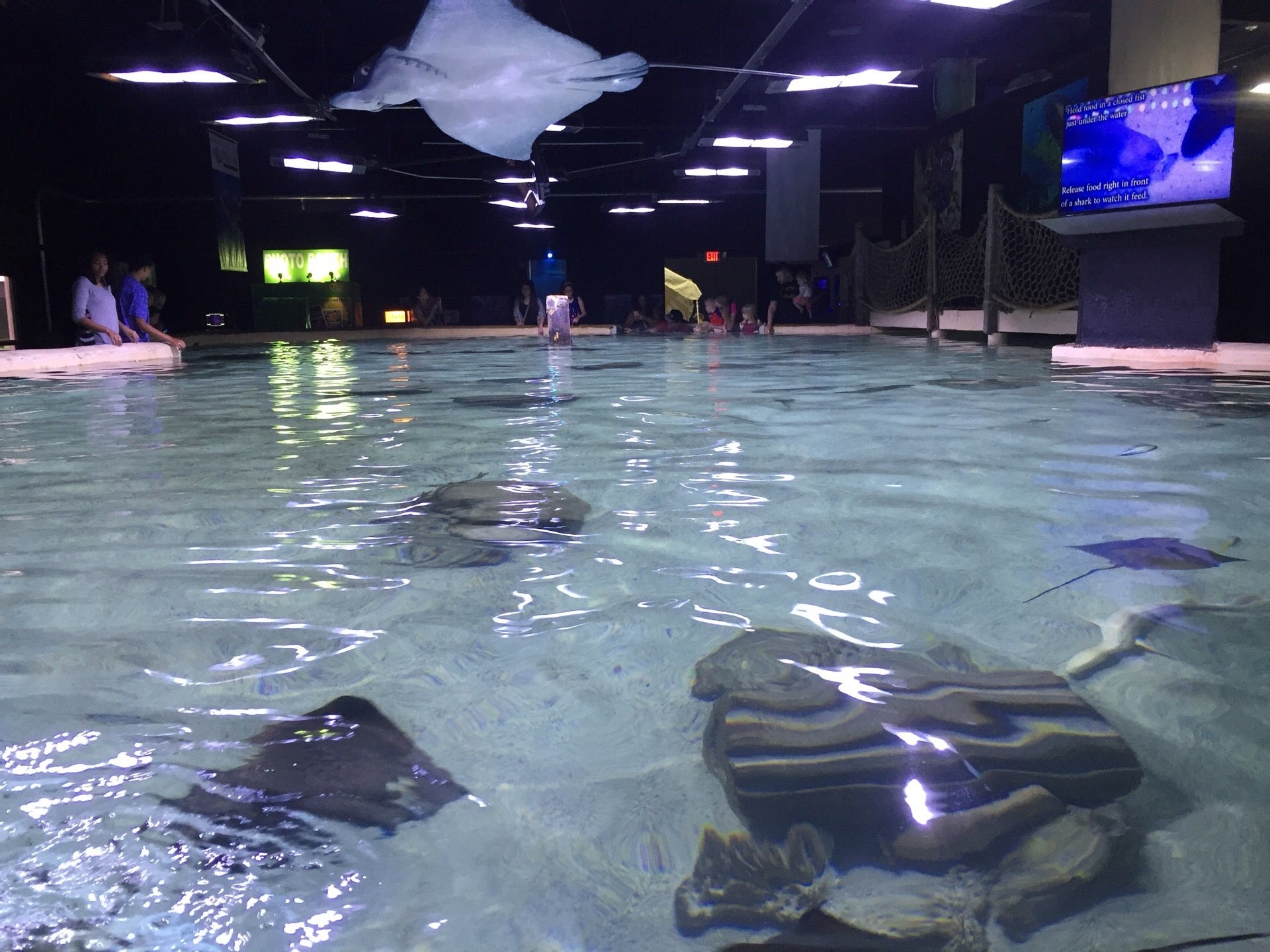 San Antonio Aquarium