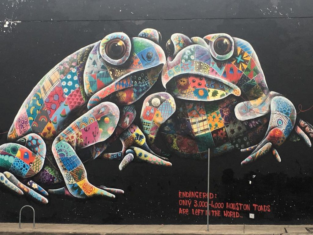 Houston Toads Mural