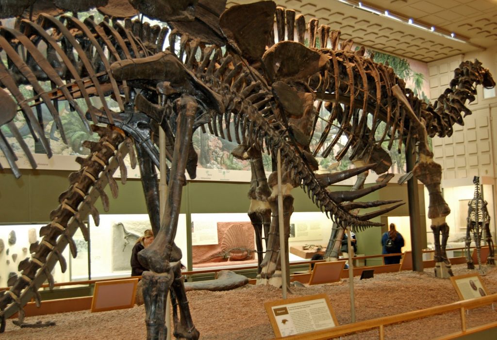 Yale Peabody Museum of Natural History